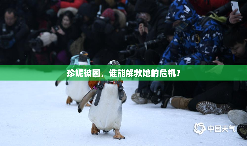 珍妮被困，谁能解救她的危机？