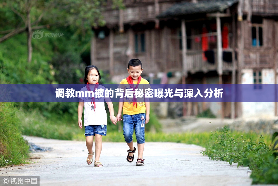 调教mm被的背后秘密曝光与深入分析