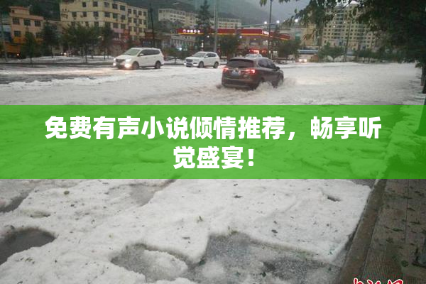 免费有声小说倾情推荐，畅享听觉盛宴！