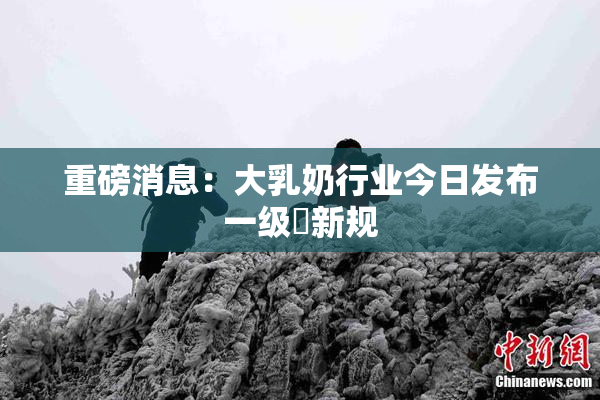 重磅消息：大乳奶行业今日发布一级婬新规