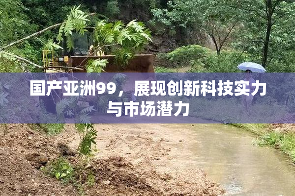 国产亚洲99，展现创新科技实力与市场潜力