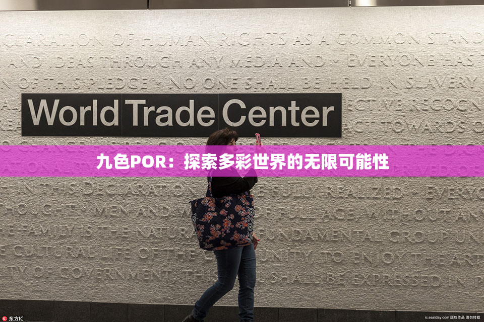 九色POR：探索多彩世界的无限可能性