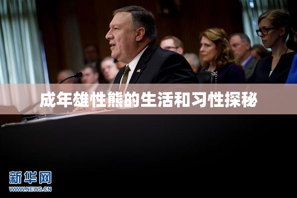 成年雄性熊的生活和习性探秘