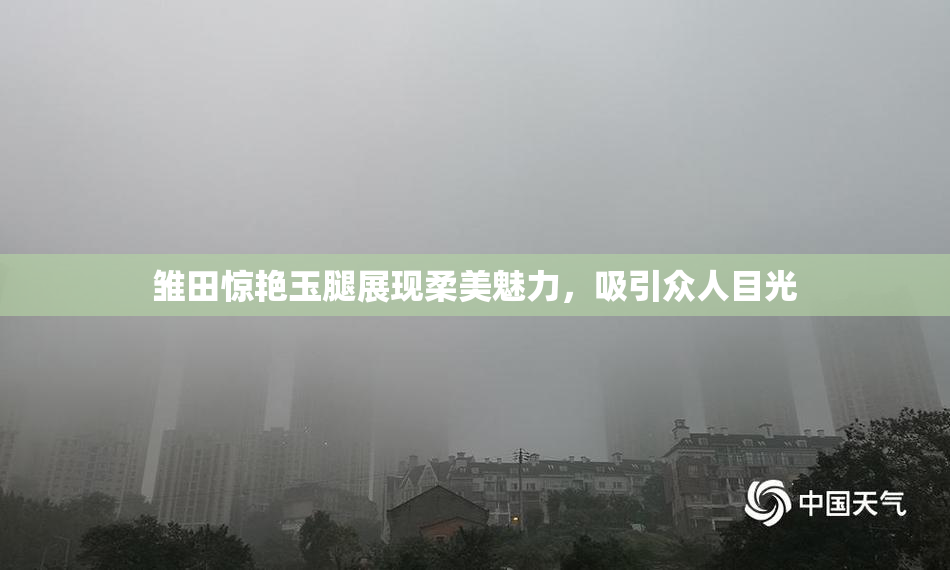 雏田惊艳玉腿展现柔美魅力，吸引众人目光