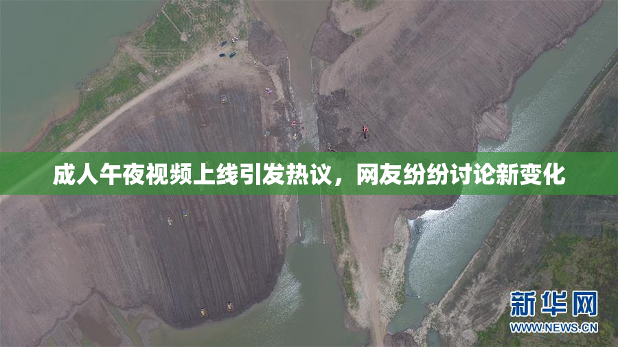 成人午夜视频上线引发热议，网友纷纷讨论新变化