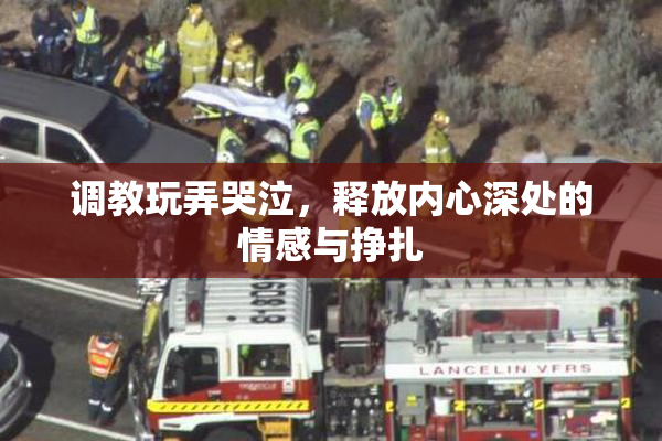 调教玩弄哭泣，释放内心深处的情感与挣扎