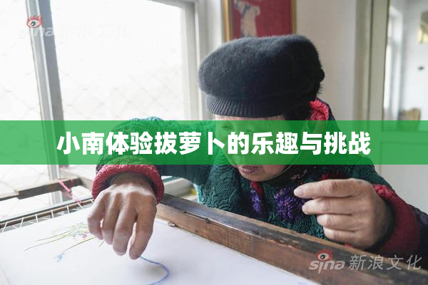 小南体验拔萝卜的乐趣与挑战