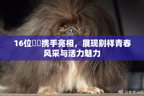 16位妺妺携手亮相，展现别样青春风采与活力魅力
