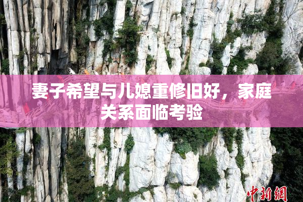 妻子希望与儿媳重修旧好，家庭关系面临考验