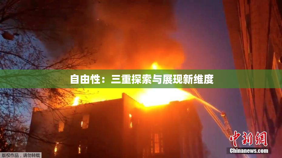 自由性：三重探索与展现新维度