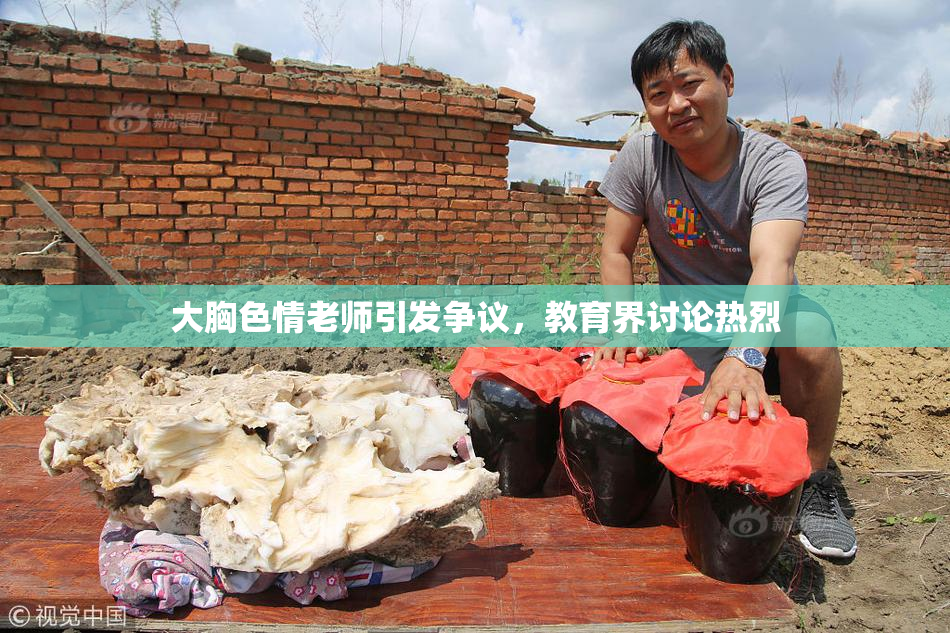 大胸色情老师引发争议，教育界讨论热烈