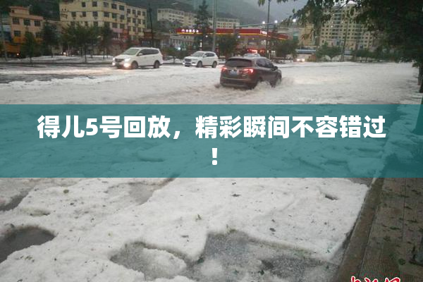 得儿5号回放，精彩瞬间不容错过！