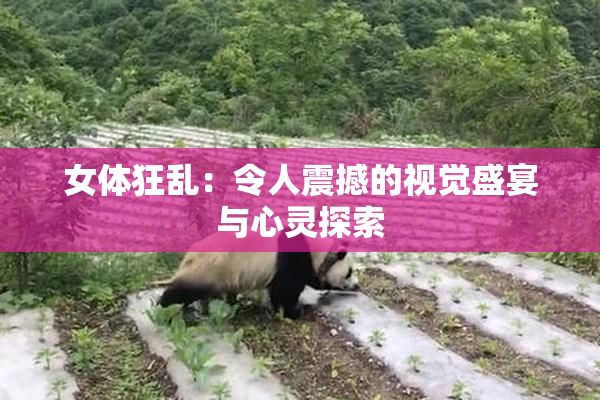 女体狂乱：令人震撼的视觉盛宴与心灵探索