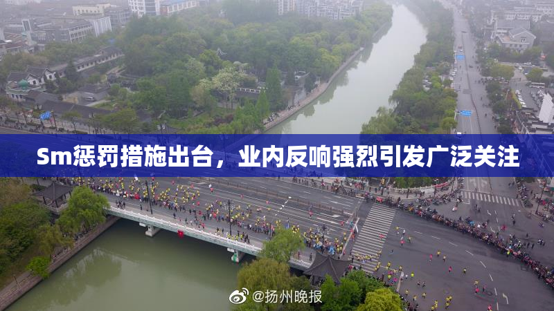 Sm惩罚措施出台，业内反响强烈引发广泛关注