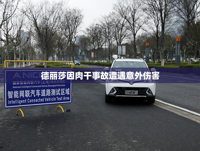 德丽莎因肉干事故遭遇意外伤害