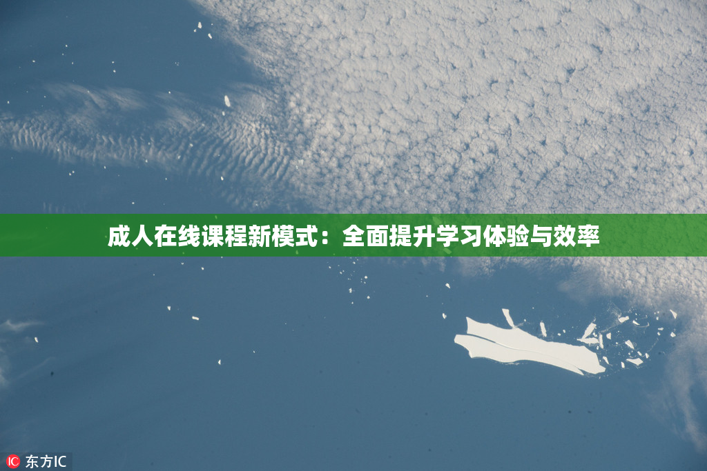 成人在线课程新模式：全面提升学习体验与效率