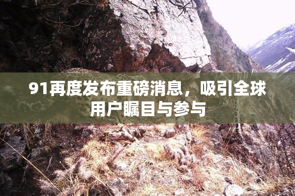91再度发布重磅消息，吸引全球用户瞩目与参与