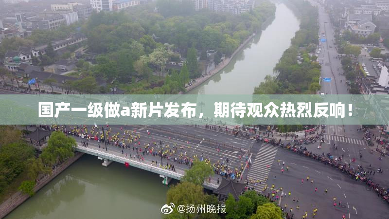 国产一级做a新片发布，期待观众热烈反响！