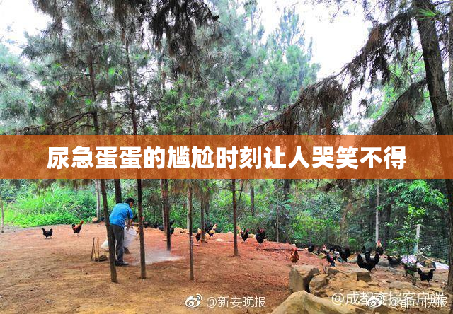 尿急蛋蛋的尴尬时刻让人哭笑不得