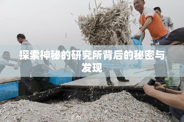 探索神秘的研究所背后的秘密与发现