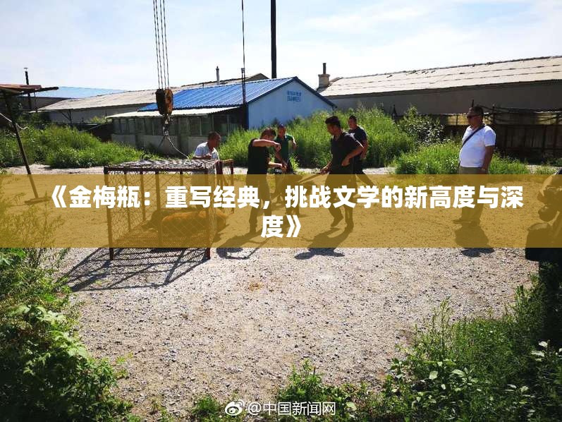 《金梅瓶：重写经典，挑战文学的新高度与深度》