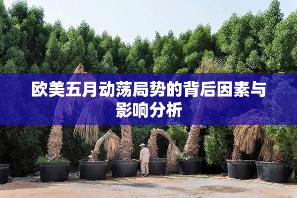 欧美五月动荡局势的背后因素与影响分析