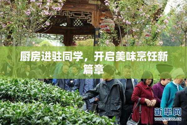 厨房进驻同学，开启美味烹饪新篇章