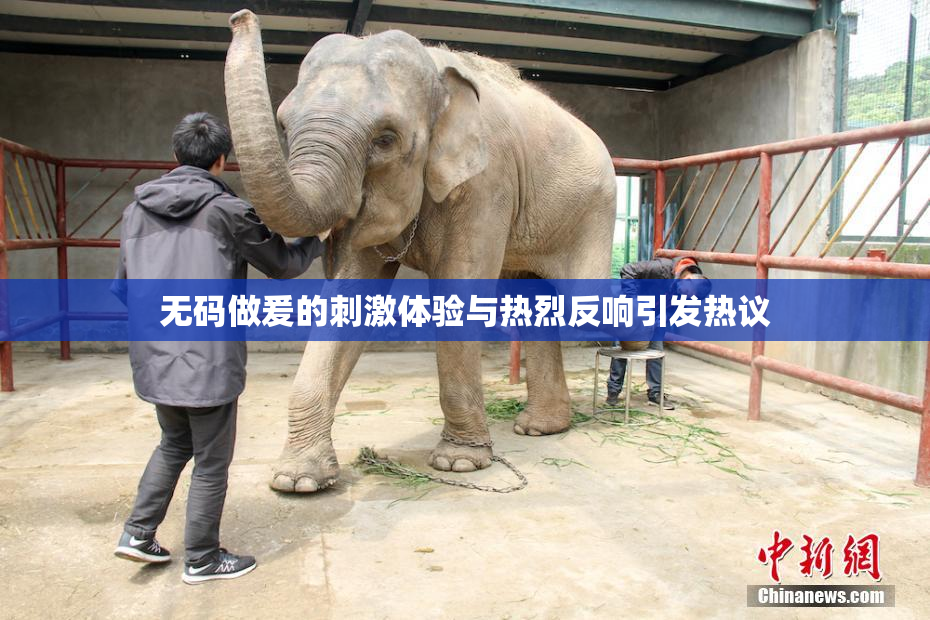 无码做爰的刺激体验与热烈反响引发热议