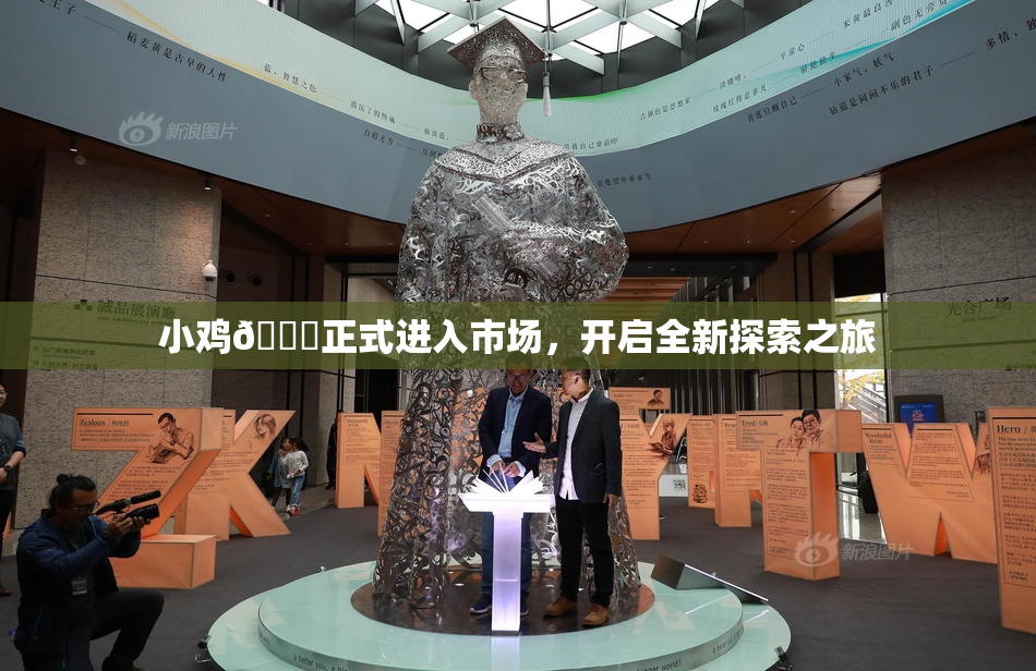小鸡🐔正式进入市场，开启全新探索之旅