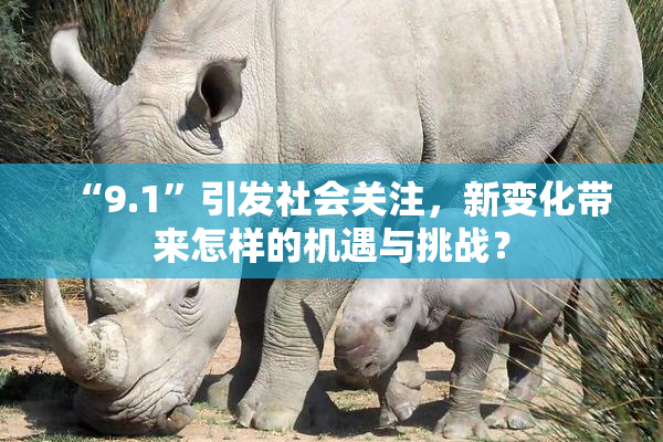 “9.1”引发社会关注，新变化带来怎样的机遇与挑战？