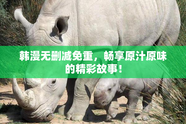 韩漫无删减免重，畅享原汁原味的精彩故事！