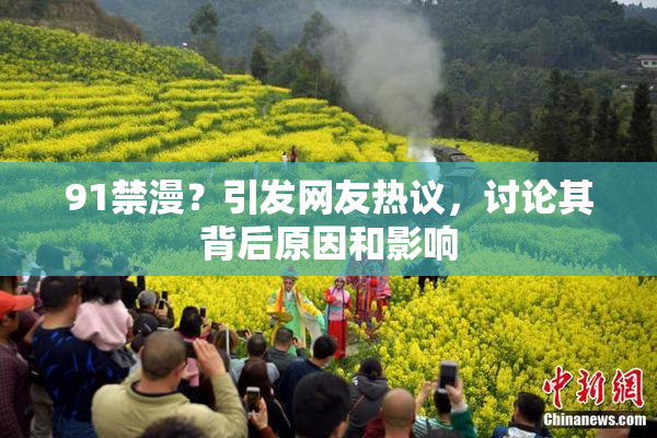 91禁漫？引发网友热议，讨论其背后原因和影响