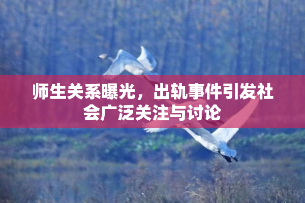 师生关系曝光，出轨事件引发社会广泛关注与讨论