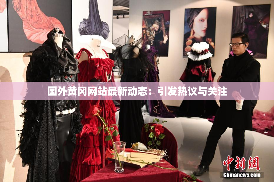 国外黄冈网站最新动态：引发热议与关注