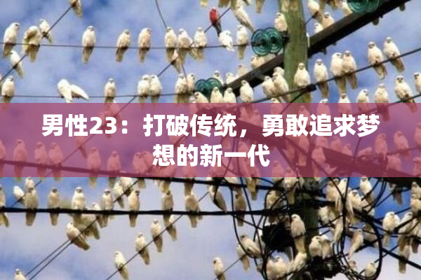 男性23：打破传统，勇敢追求梦想的新一代
