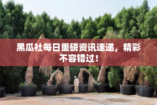 黑瓜社每日重磅资讯速递，精彩不容错过！