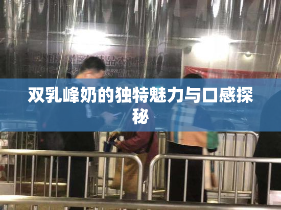 双乳峰奶的独特魅力与口感探秘