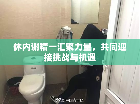 休内谢精一汇聚力量，共同迎接挑战与机遇