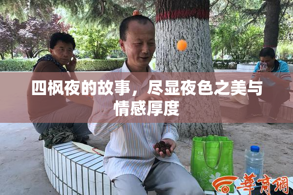 四枫夜的故事，尽显夜色之美与情感厚度
