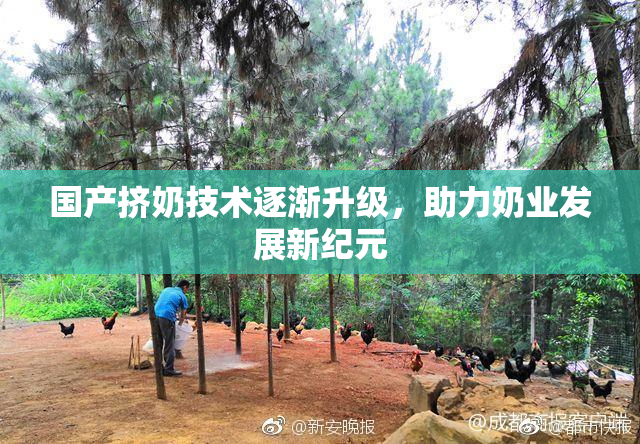 国产挤奶技术逐渐升级，助力奶业发展新纪元