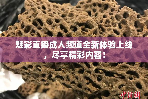 魅影直播成人频道全新体验上线，尽享精彩内容！