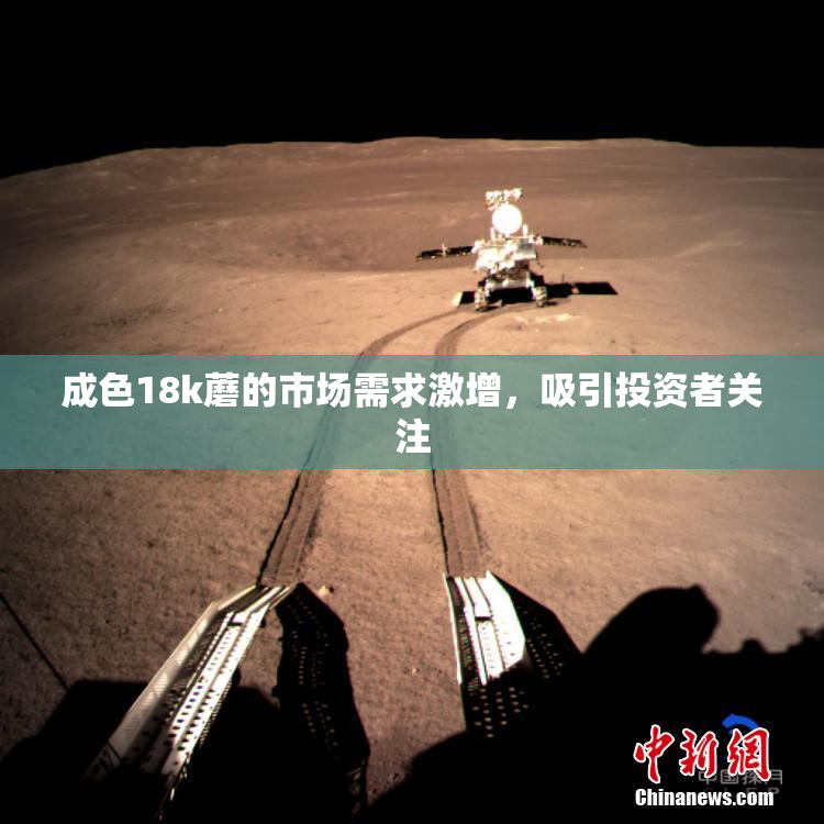 成色18k蘑的市场需求激增，吸引投资者关注