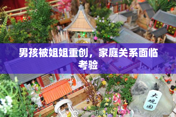 男孩被姐姐重创，家庭关系面临考验