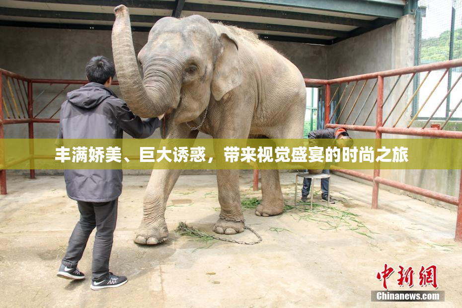 丰满娇美、巨大诱惑，带来视觉盛宴的时尚之旅