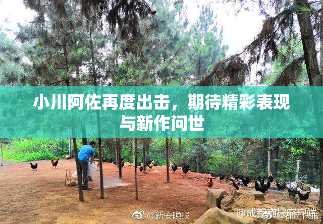 小川阿佐再度出击，期待精彩表现与新作问世