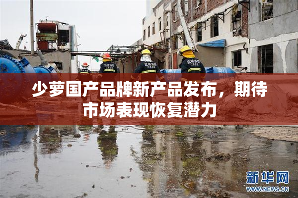 少萝国产品牌新产品发布，期待市场表现恢复潜力