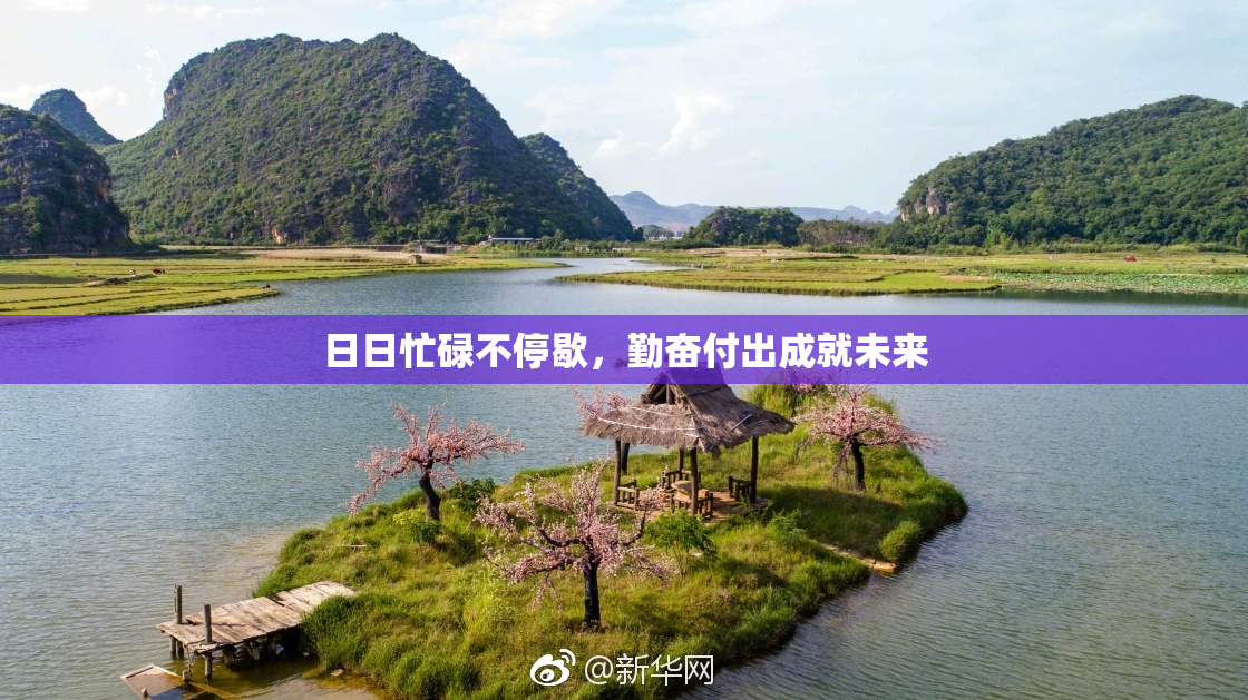 日日忙碌不停歇，勤奋付出成就未来
