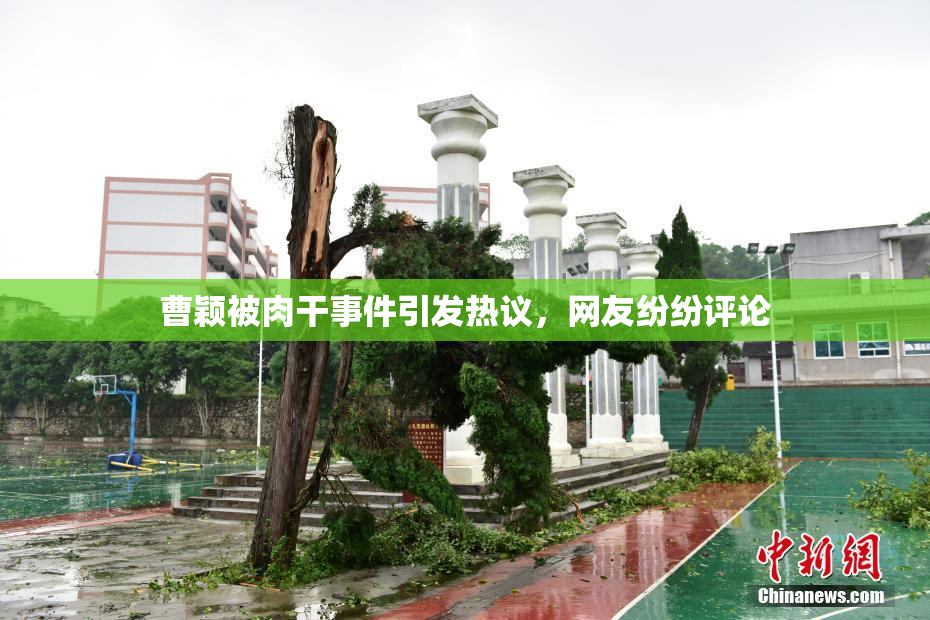 曹颖被肉干事件引发热议，网友纷纷评论