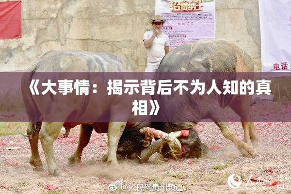《大事情：揭示背后不为人知的真相》