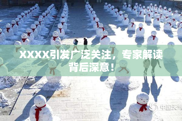 XXXX引发广泛关注，专家解读背后深意！